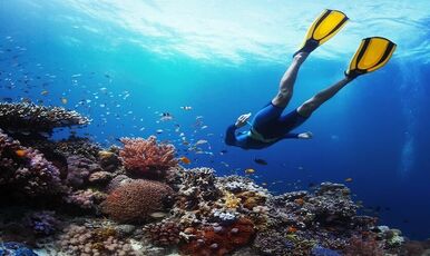 İstanbul Hareketli Thy İle Sharm El Sheikh Turu 5 gece (287)