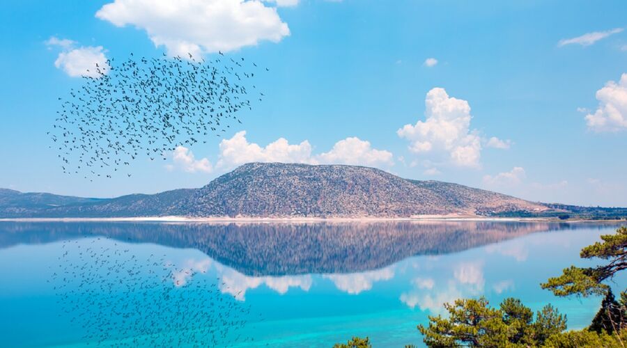 Isparta Lavanta Bahçeleri ve Salda Gölü Turu 1 Gece