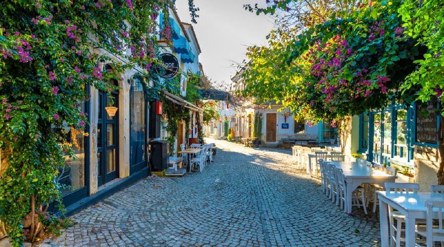 Urla Enginar Festivali Turu 1 Gece